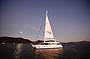 Cairns Harbour Dinner Cruise